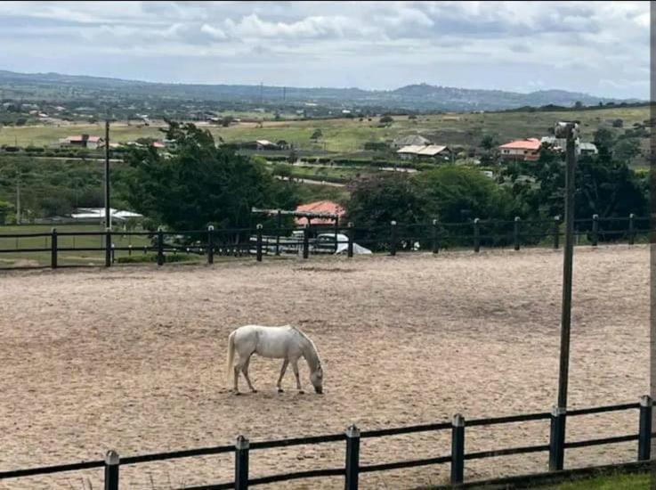 Flat No Hotel Fazenda Monte Castelo Gravata Condominio 外观 照片